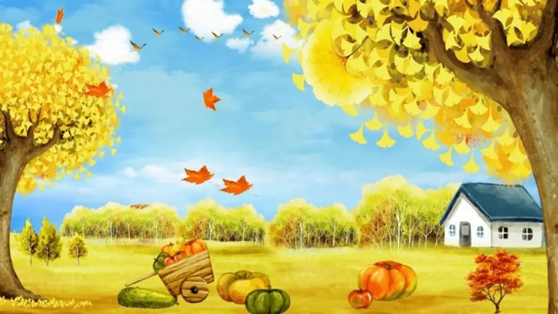 u=4228698302,1266631026&fm=253&fmt=auto&app=120&f=JPEG.webp.jpg