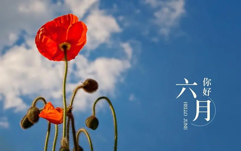 u=3834486458,1903671244&fm=253&fmt=auto&app=138&f=JPEG.webp.jpg